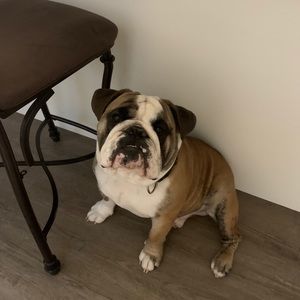 Meet your Posher, John